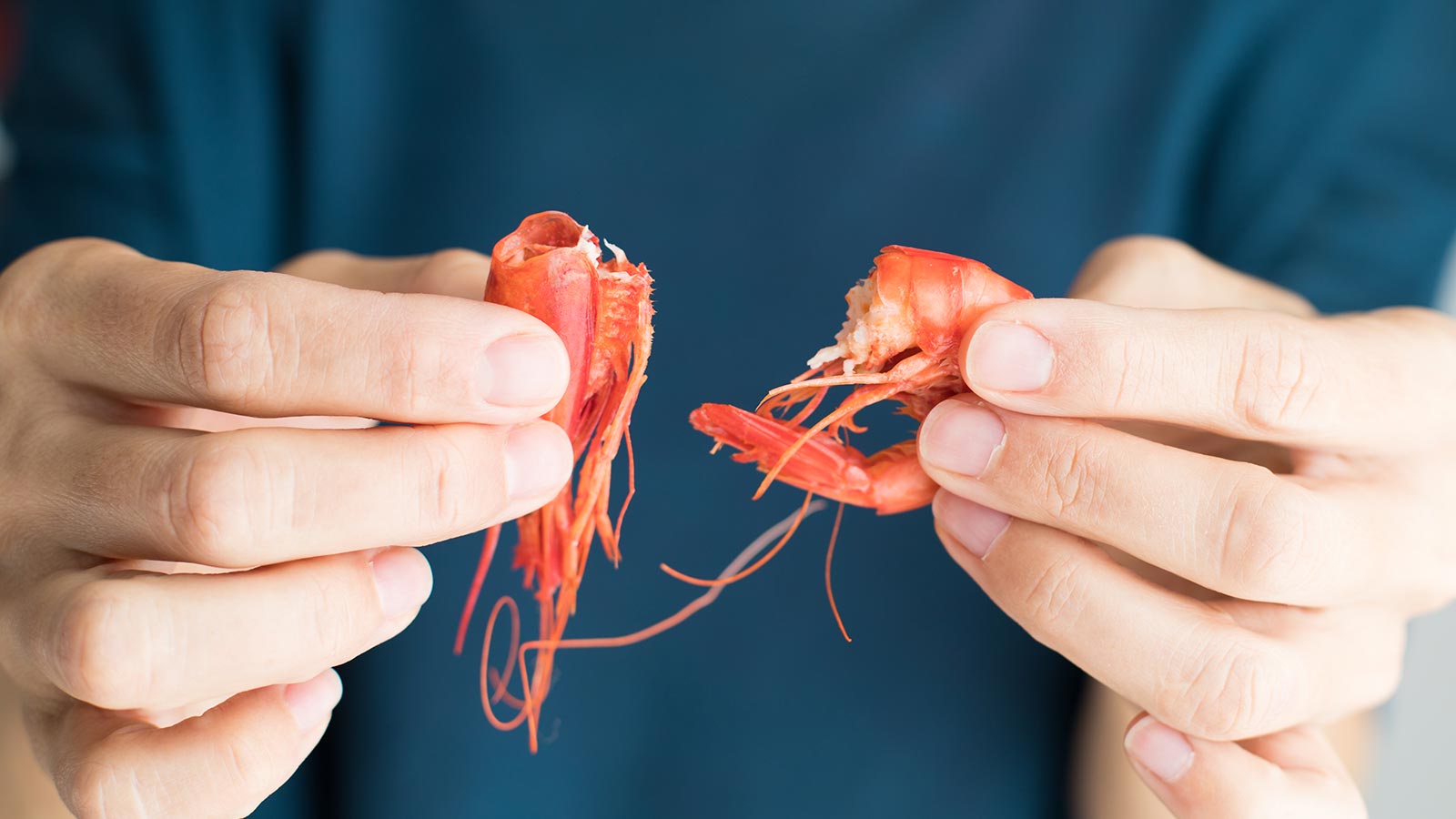 Alimentos susceptibles de contaminación